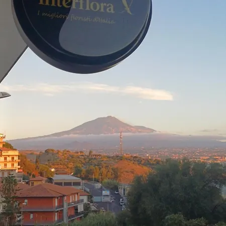 Dimora San Giorgio Appartamento Catania